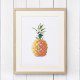 Illustration einer Ananas als Print für hasenfuss – graphisches Kabinett